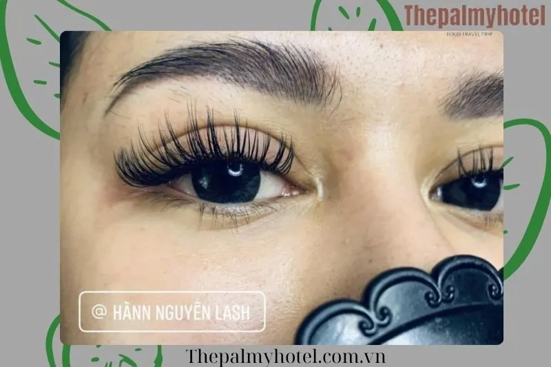 Hànn Nguyên Eyelash