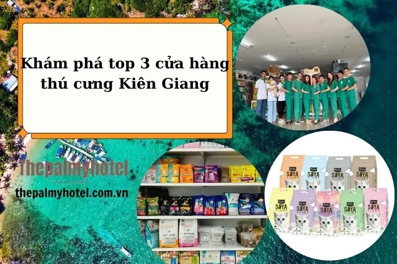 Khám phá top 3 cửa hàng thú cưng Kiên Giang