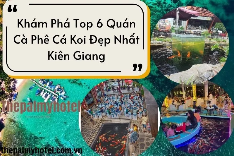 Khám Phá Top 6 Quán Cà Phê Cá Koi Đẹp Nhất Kiên Giang