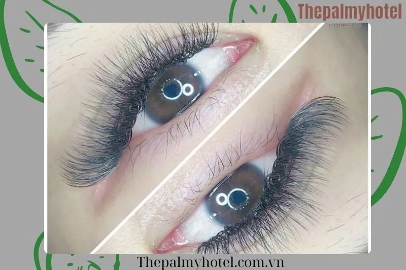 Lê Mỹ Tiên Eyelash