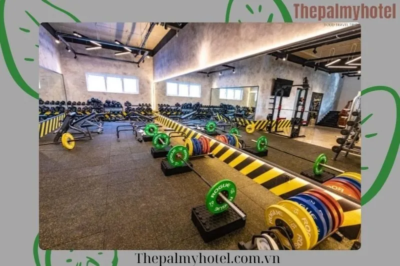 Sức Khỏe Vàng Gym Center