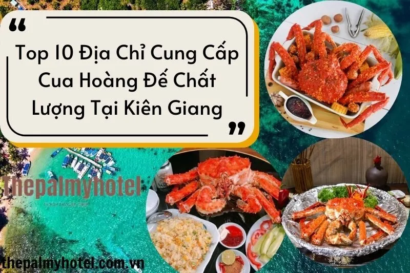 Top 10 Địa Chỉ Cung Cấp Cua Hoàng Đế Chất Lượng Tại Kiên Giang