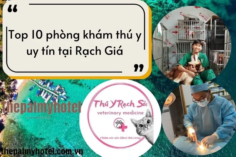 Top 10 phòng khám thú y uy tín tại Rạch Giá