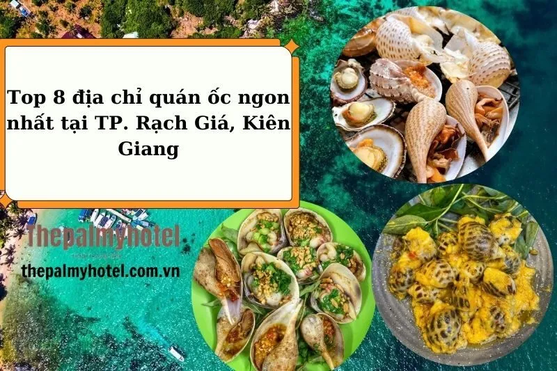 Top 8 địa chỉ quán ốc ngon nhất tại TP. Rạch Giá, Kiên Giang